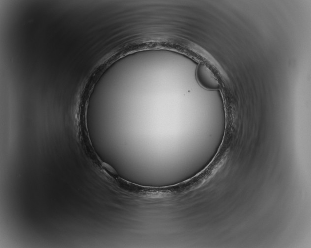 X0000087580826200705181159
