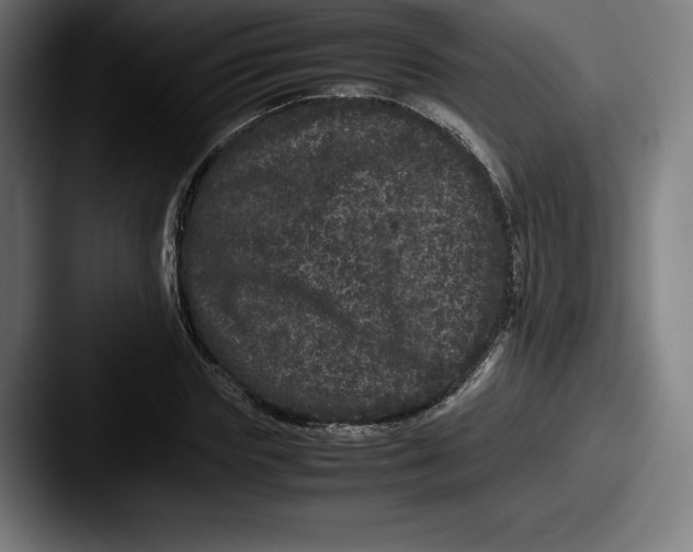 X0000087580827200705181159