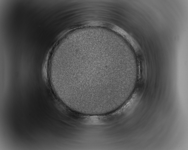 X0000087580828200705181159