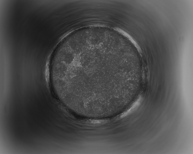 X0000087580829200705181159