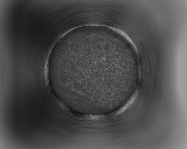 X0000087580831200705181159