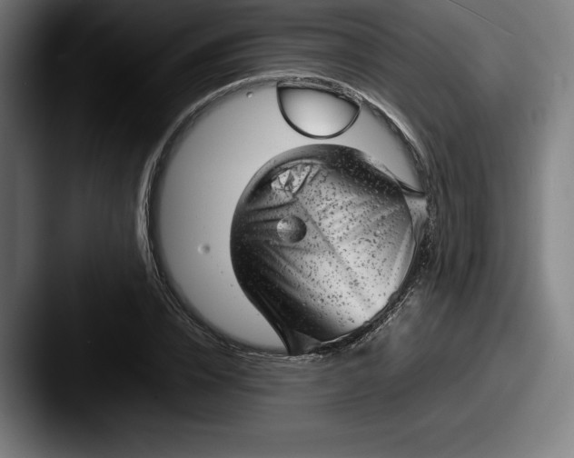 X0000087580832200705181159