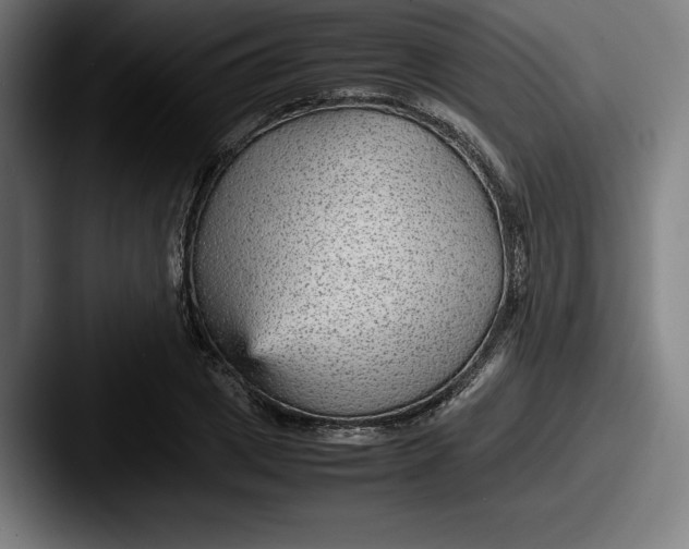 X0000087580833200705181159