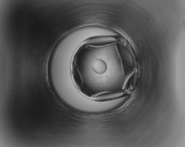 X0000087580834200705181159