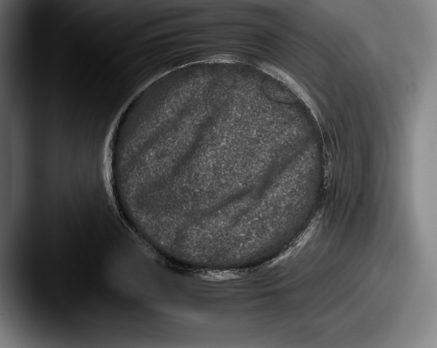 X0000087580835200705181159