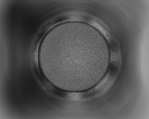 X0000087580836200705181159