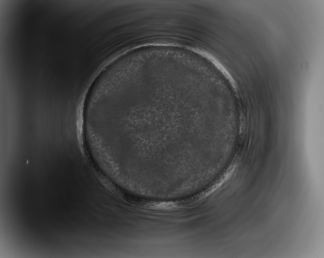 X0000087580837200705181159