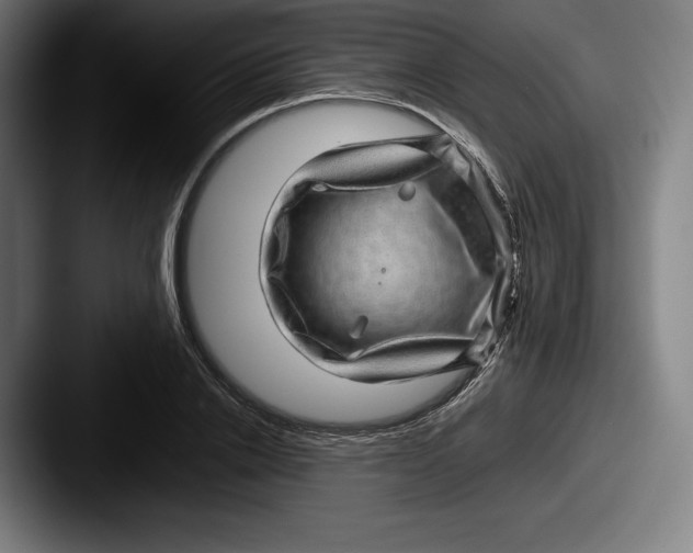 X0000087580838200705181159
