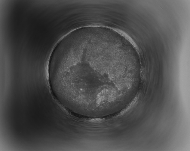 X0000087580839200705181159