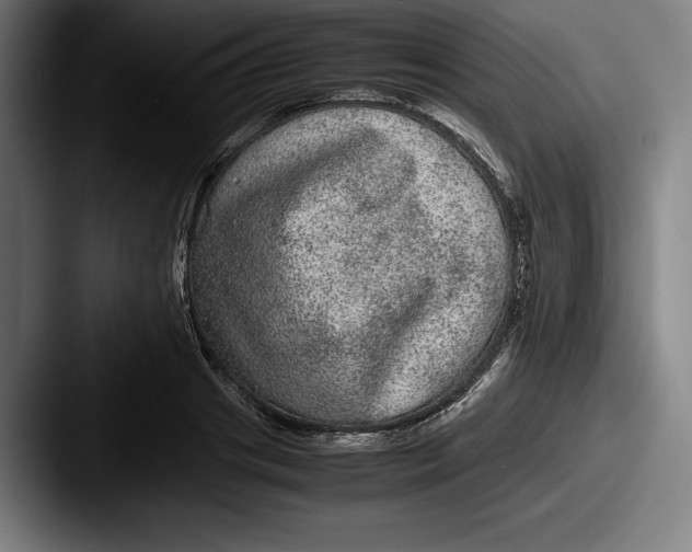 X0000087580841200705181159