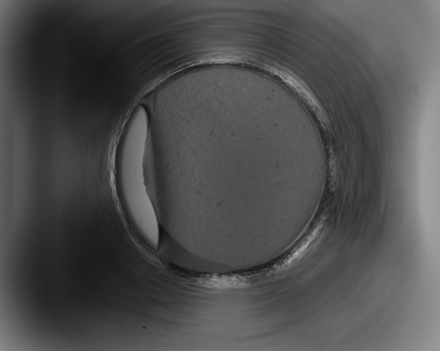 X0000087580842200705181159