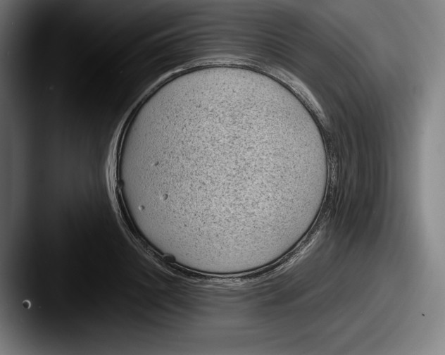 X0000087580844200705181159