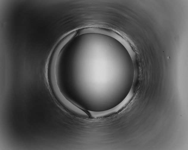 X0000087580846200705181159