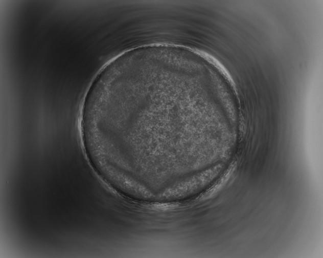 X0000087580847200705181159