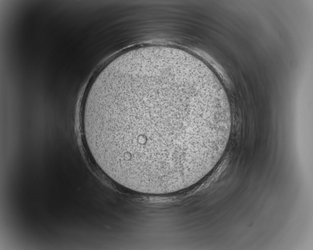 X0000087580848200705181159