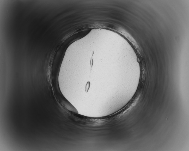 X0000087580849200705181159