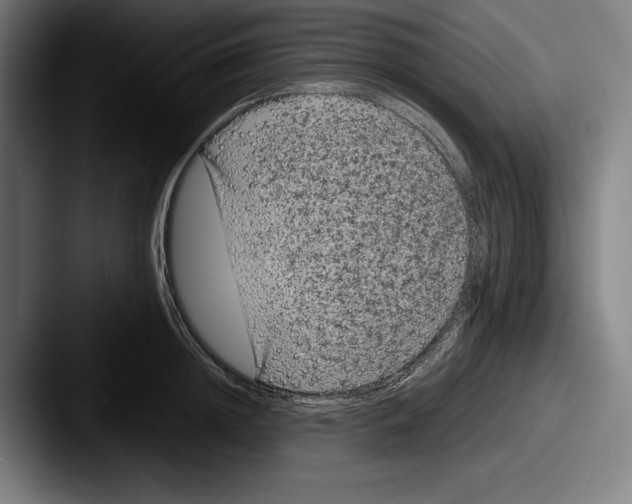 X0000087580852200705181200
