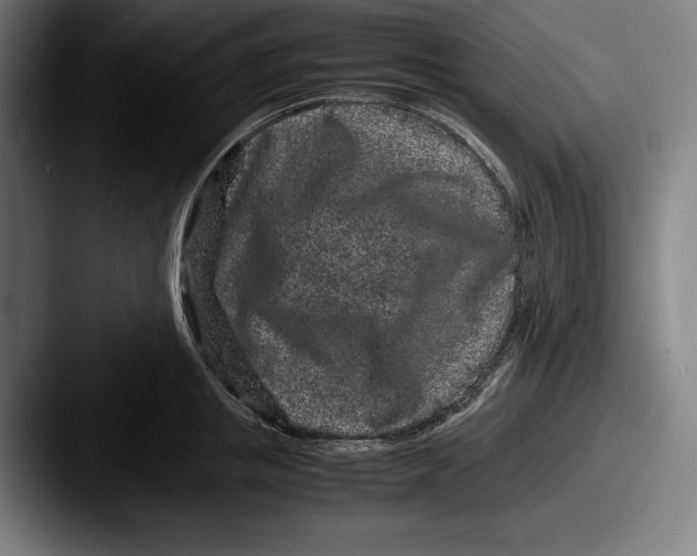 X0000087580853200705181200