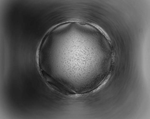 X0000087580854200705181200