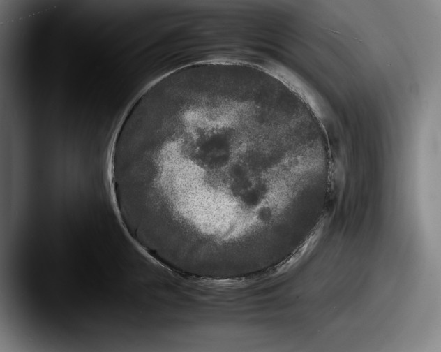 X0000087580855200705181200