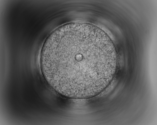 X0000087580856200705181200