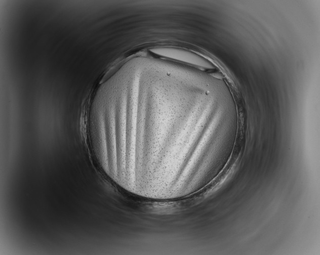 X0000087580857200705181200