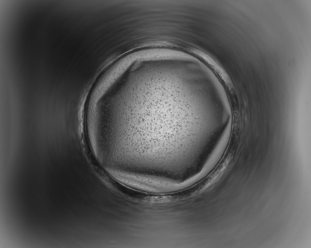 X0000087580858200705181200