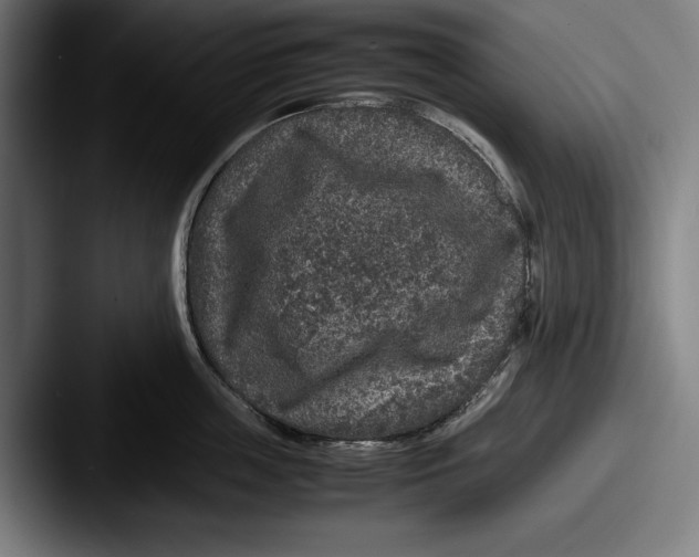 X0000087580859200705181200