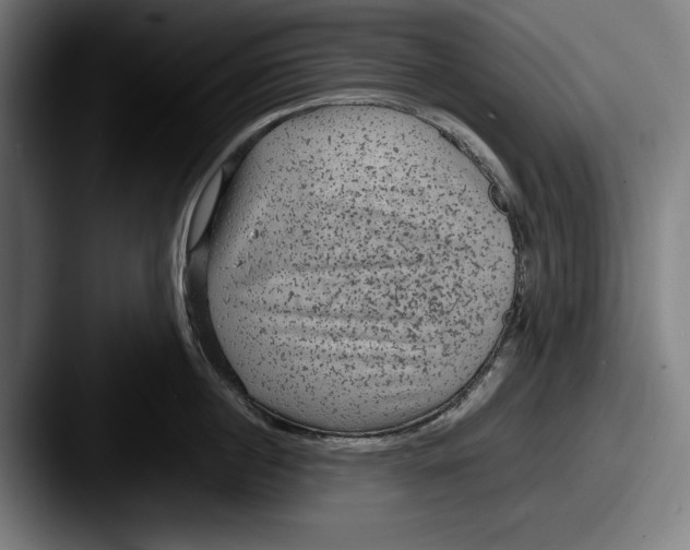X0000087580860200705181200