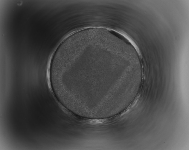 X0000087580861200705181200
