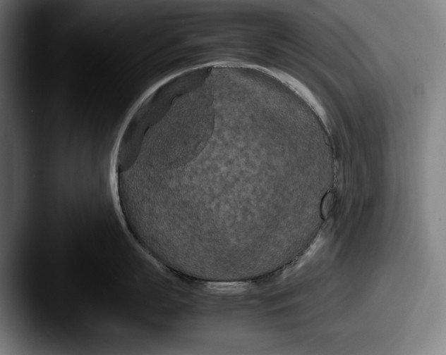 X0000087580863200705181200