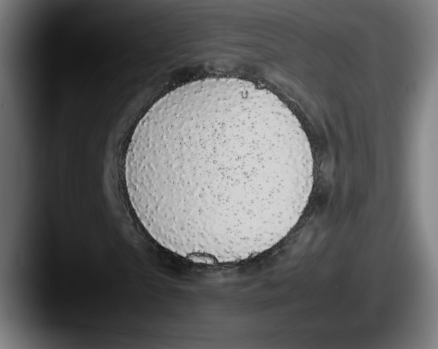 X0000087580865200705181159