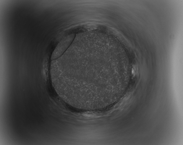 X0000087580867200705181159