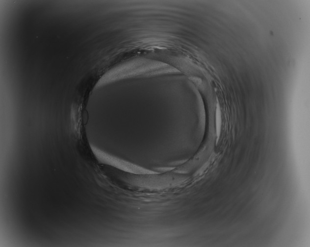 X0000087580868200705181159