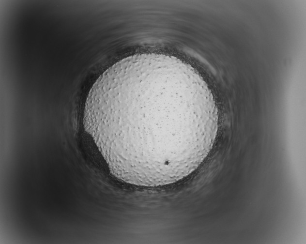 X0000087580869200705181159