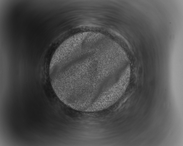 X0000087580870200705181159