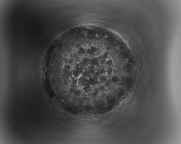 X0000087580871200705181159