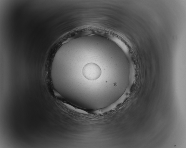 X0000087580872200705181159