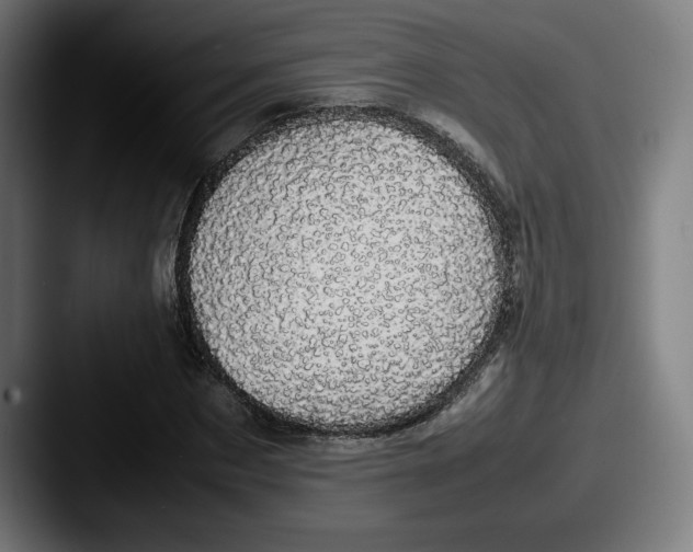 X0000087580873200705181159