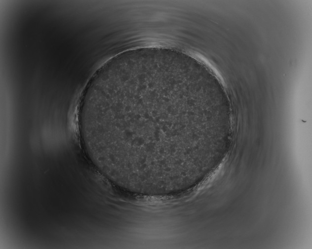 X0000087580875200705181159