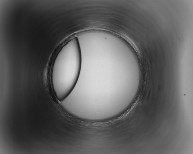 X0000087580876200705181159