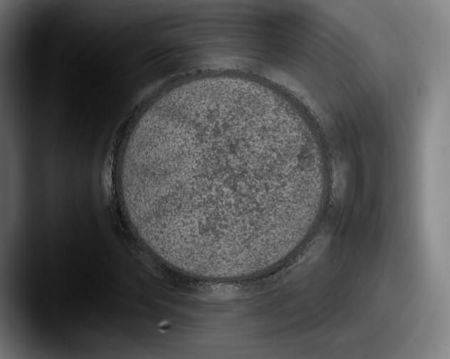 X0000087580878200705181159