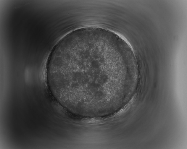 X0000087580879200705181159