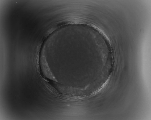 X0000087580881200705181159
