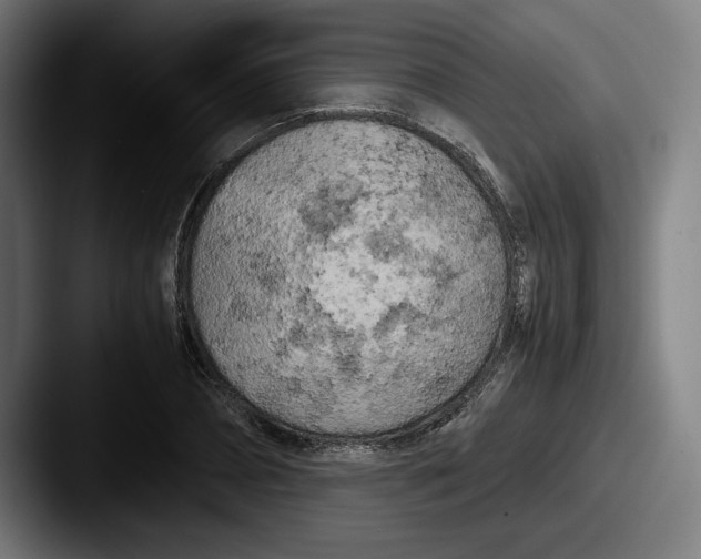 X0000087580882200705181159