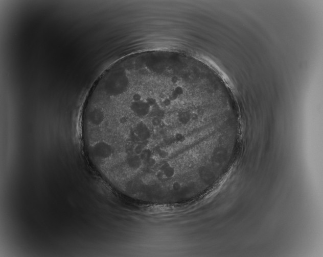 X0000087580883200705181159