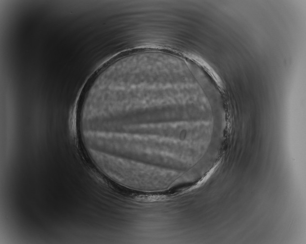 X0000087580884200705181159