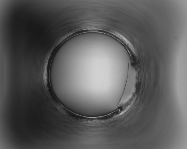 X0000087580885200705181159