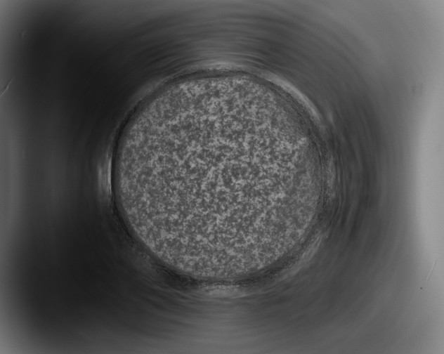 X0000087580886200705181159
