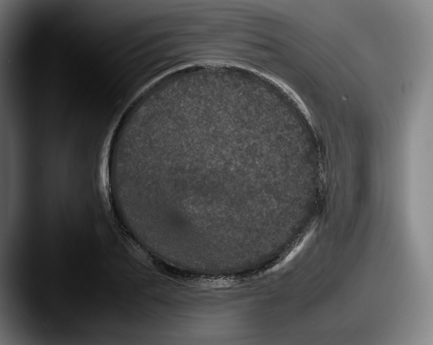 X0000087580887200705181159